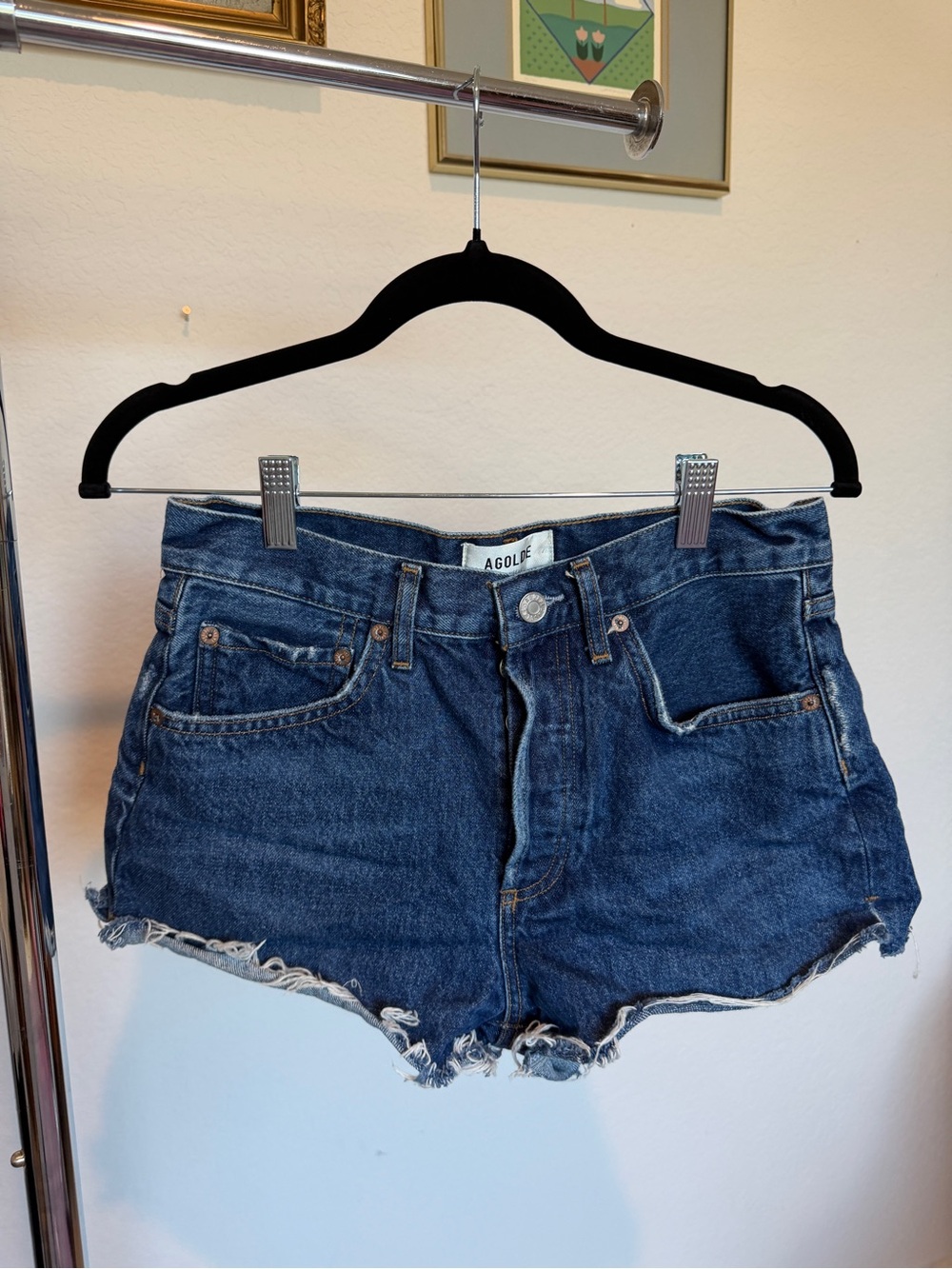 Agolde Denim Cut Off Denim Shorts